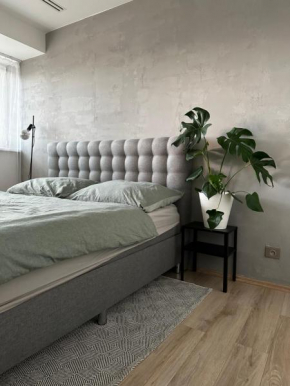 Urban Zenhouse No.2 - Breakfast Included Bratislava